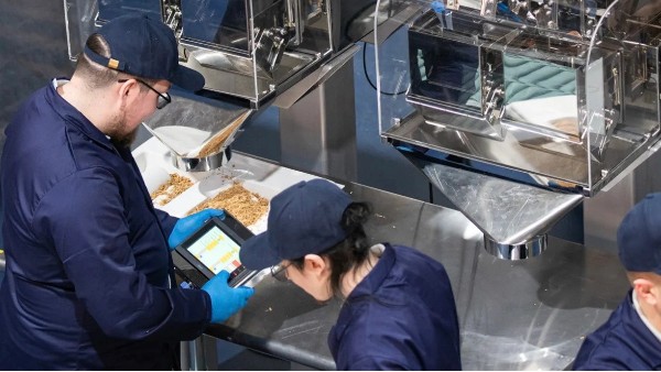 英國神奇蘑菇公司使用菌絲體代替塑料包裝